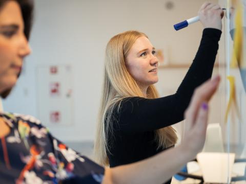 MSH 23 Zwei Frauen arbeiten an Flipchart